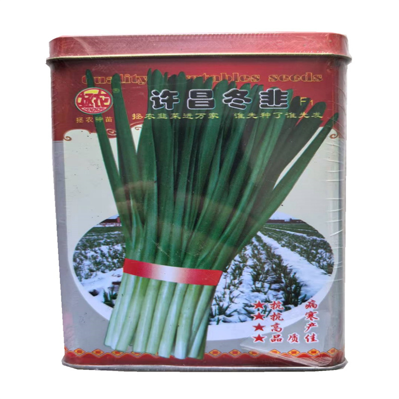 许昌冬韭种子抗病高产拯农宽叶大叶韭菜种子