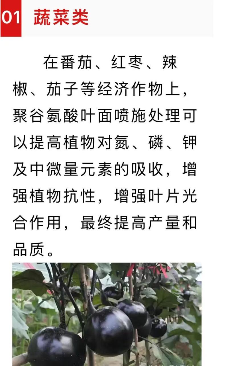 聚谷氨酸中量水溶100ml试用装1瓶