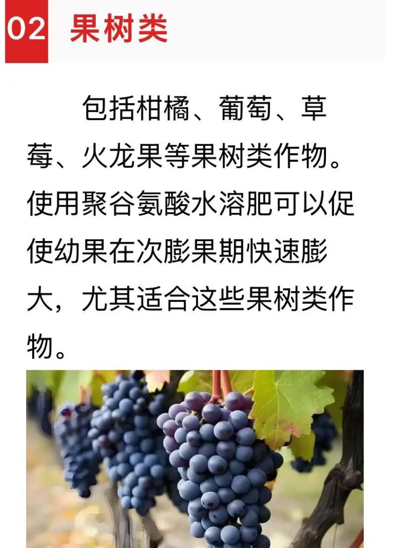 聚谷氨酸中量水溶100ml试用装1瓶