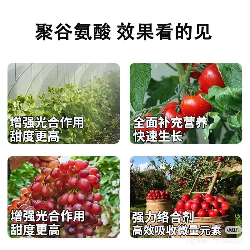 聚谷氨酸中量水溶100ml试用装1瓶