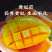 【9斤】海南贵妃芒新鲜当季大果树上熟