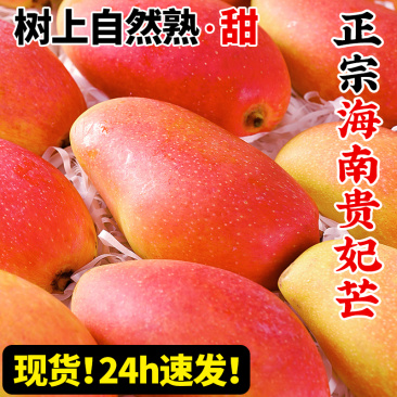 【9斤】海南贵妃芒新鲜当季大果树上熟