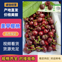 好货推荐美早樱桃大樱桃产地一手货源全国发货