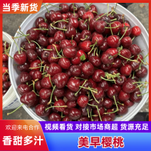 美早樱桃大樱桃对接电商市场商超全国发货一手货源