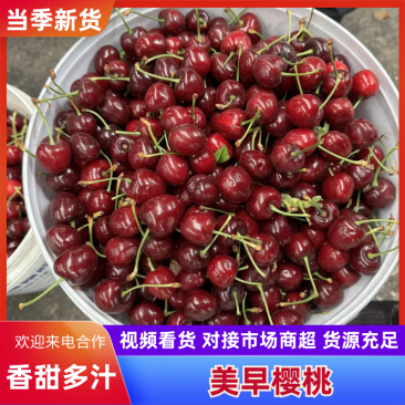 美早樱桃大樱桃对接电商市场商超全国发货一手货源