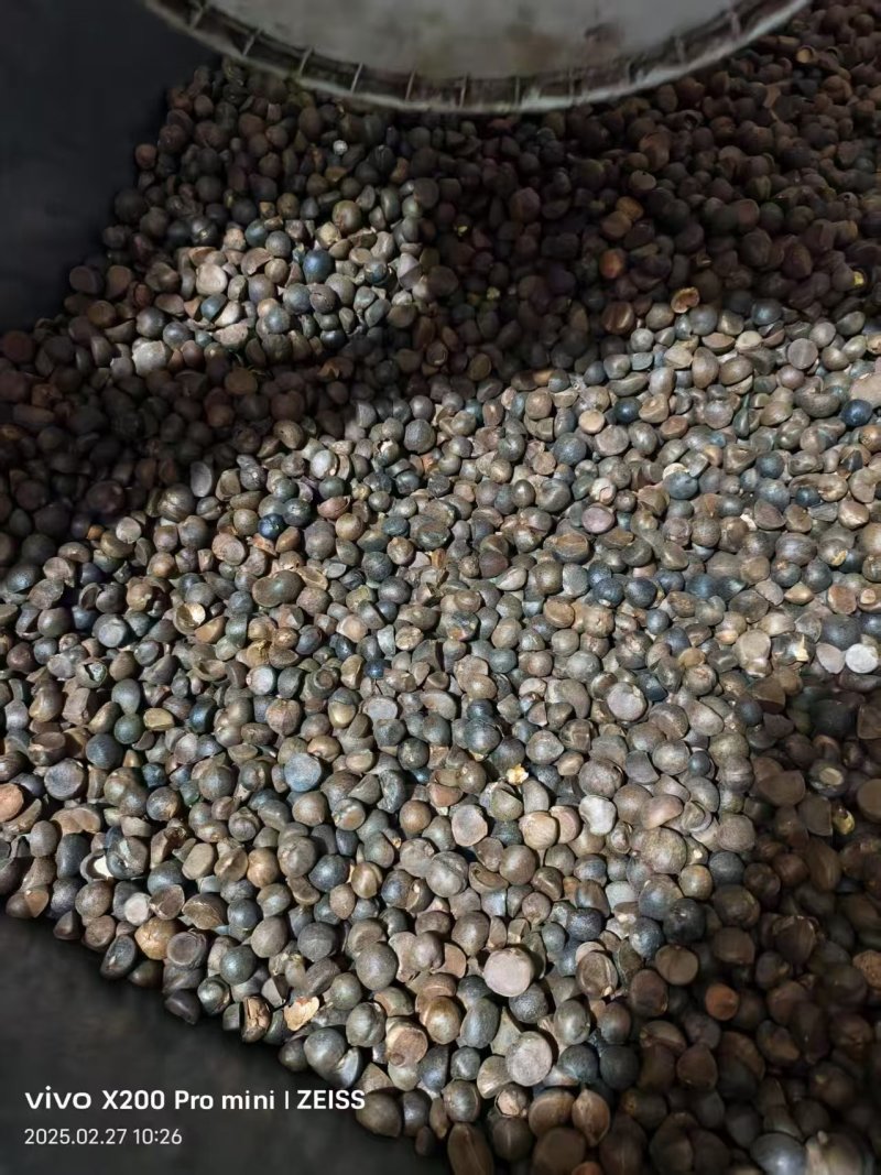 【现货直发】精品山茶油纯手工制作品质保证量大价优