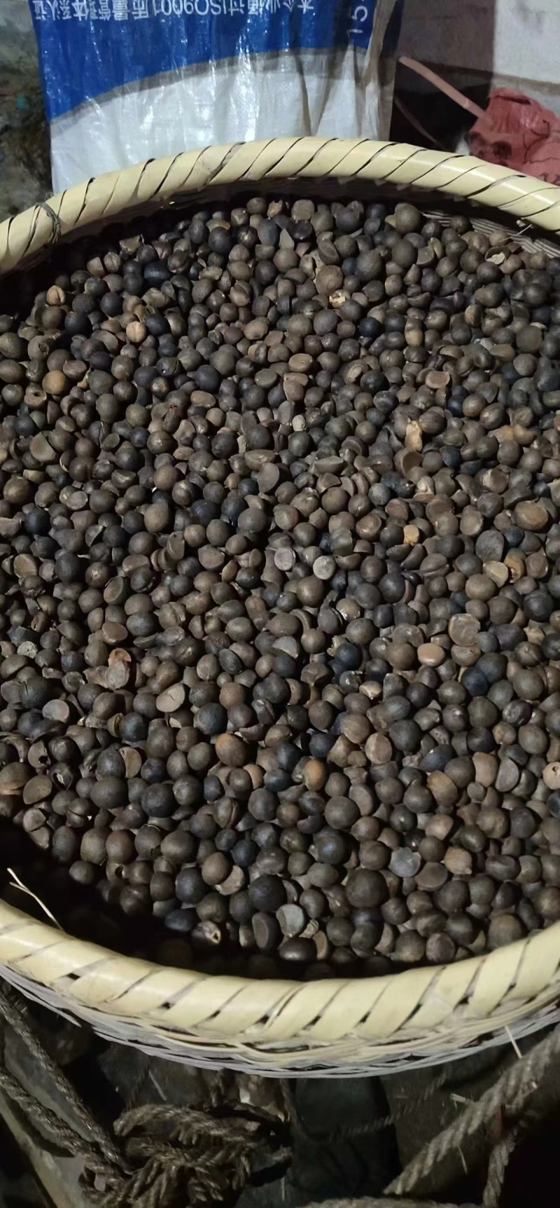 【现货直发】精品山茶油纯手工制作品质保证量大价优