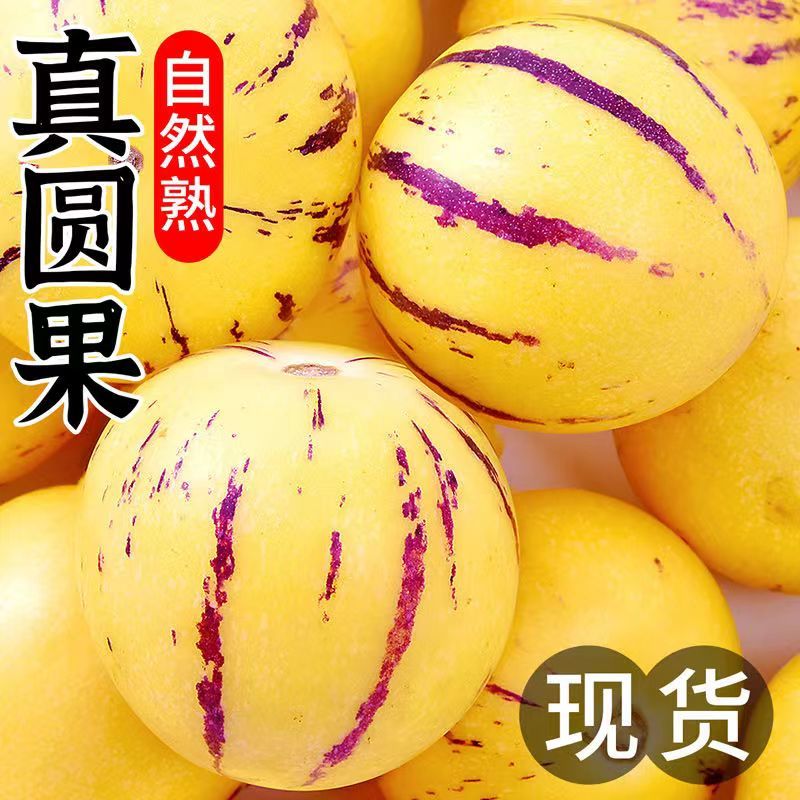 【一件代发】云南石林人参果圆果黄果支持各大电商平台代发