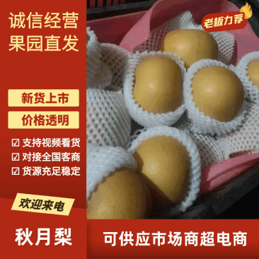 精品秋月梨精选秋月梨品种齐全口感脆甜量大从优
