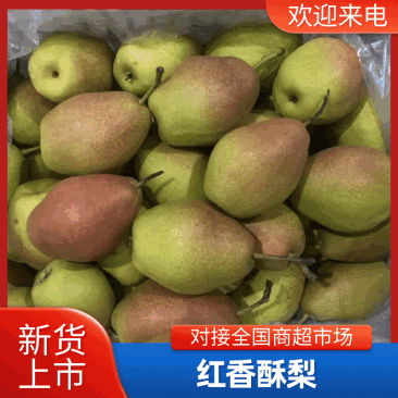 红香酥梨河北精选酥梨香梨礼盒装对接各大平台量