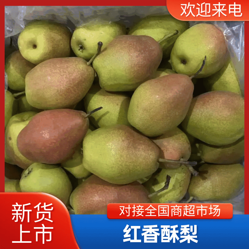 红香酥梨河北精选酥梨香梨礼盒装对接各大平台量