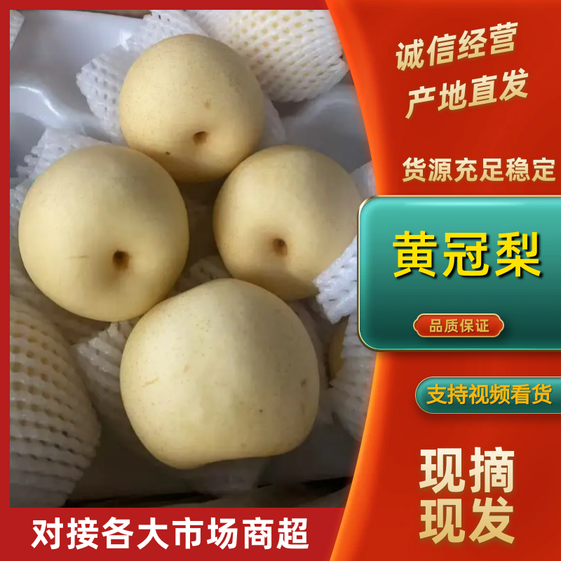 【皇冠梨】河北赵县皇冠梨品种齐全对接全国量大从优