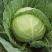 【甘蓝】大量有货产地直发保障品质诚信经营