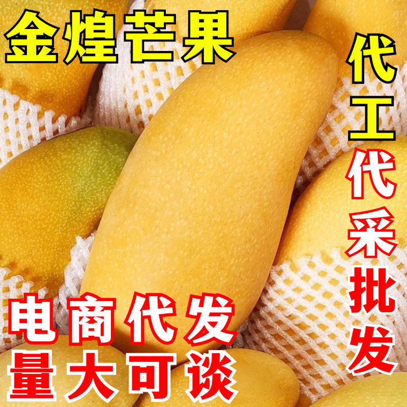 金煌芒芒果一件代发金黄水仙芒热带鲜水果『电商代发』