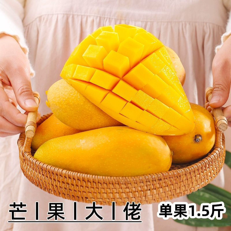 金煌芒芒果一件代发金黄水仙芒热带鲜水果『电商代发』