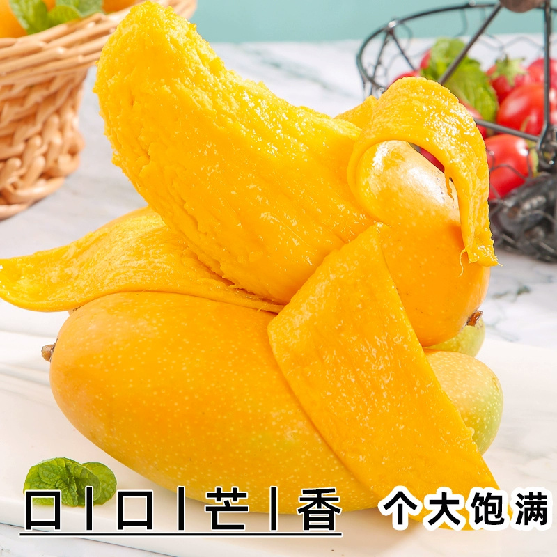 金煌芒芒果一件代发金黄水仙芒热带鲜水果『电商代发』