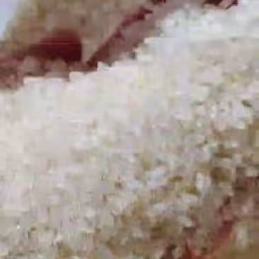 精品珍珠米，大量现货速发，产品香甜可口，保质保量