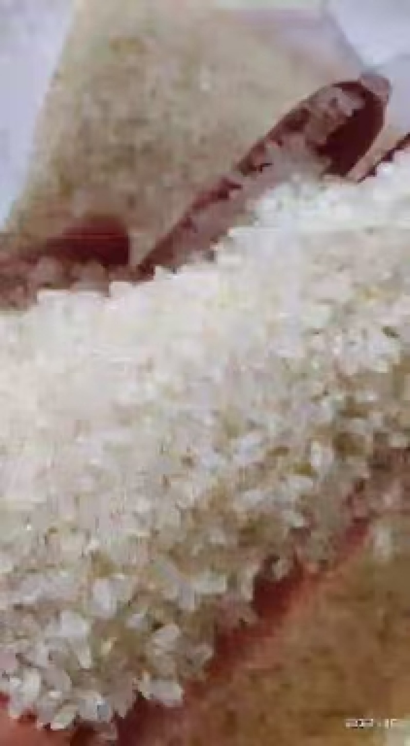精品珍珠米，大量现货速发，产品香甜可口，保质保量