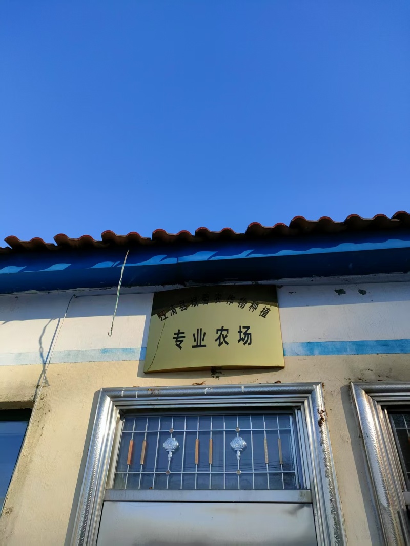 精品珍珠米，大量现货速发，产品香甜可口，保质保量
