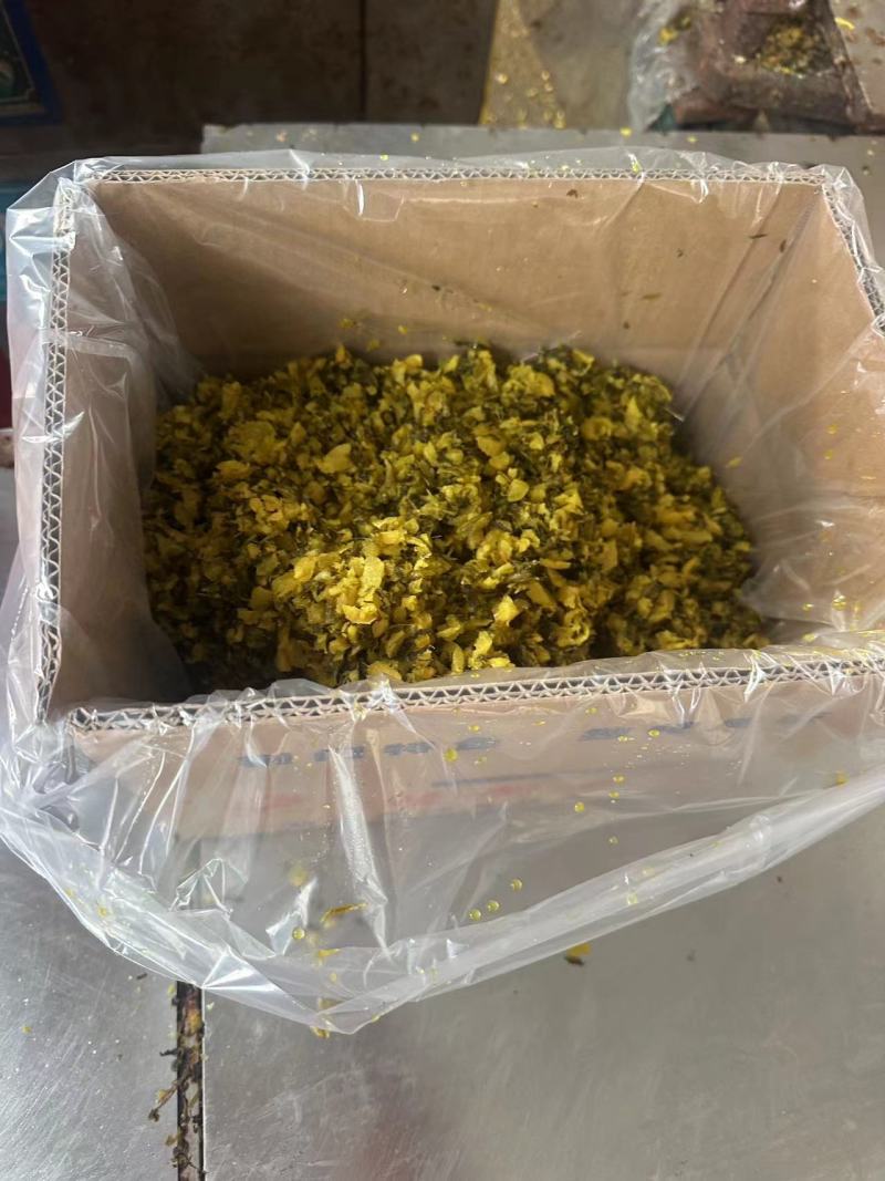 精品雪菜雪里红基地直销量大质优价格优惠欢迎咨询采购