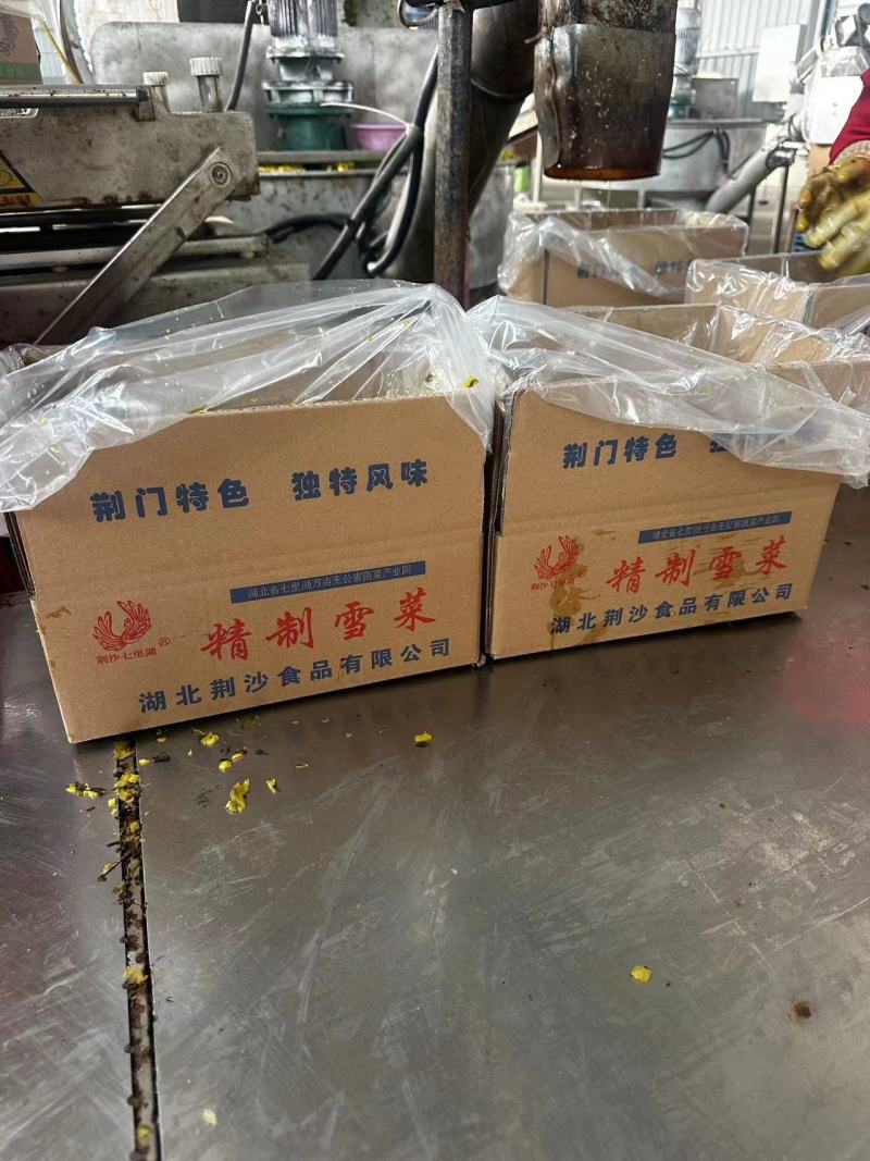 精品雪菜雪里红基地直销量大质优价格优惠欢迎咨询采购