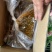 一点红油豆角量大质优基地直销支持视频看货欢迎前来采购