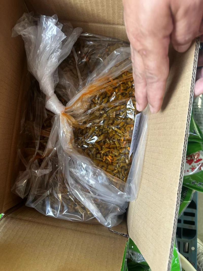 一点红油豆角量大质优基地直销支持视频看货欢迎前来采购