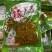 原味酸豆角规格齐全量大质优价格优惠欢迎各大老板采购