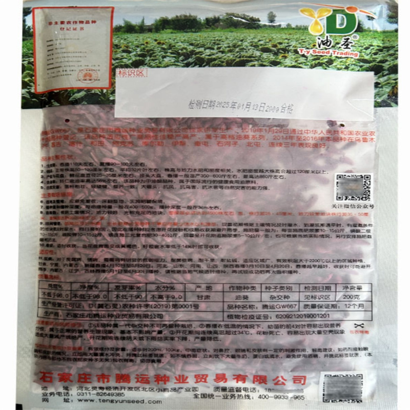 精品矮大头油葵种子GW667特高产高油榨油大弯头油葵向