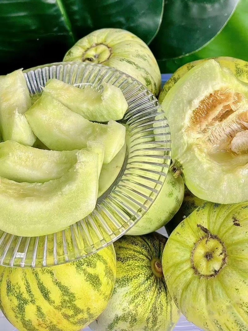 花美人蜜罐甜瓜一件代发产地直发一手货源对接各大电商平台