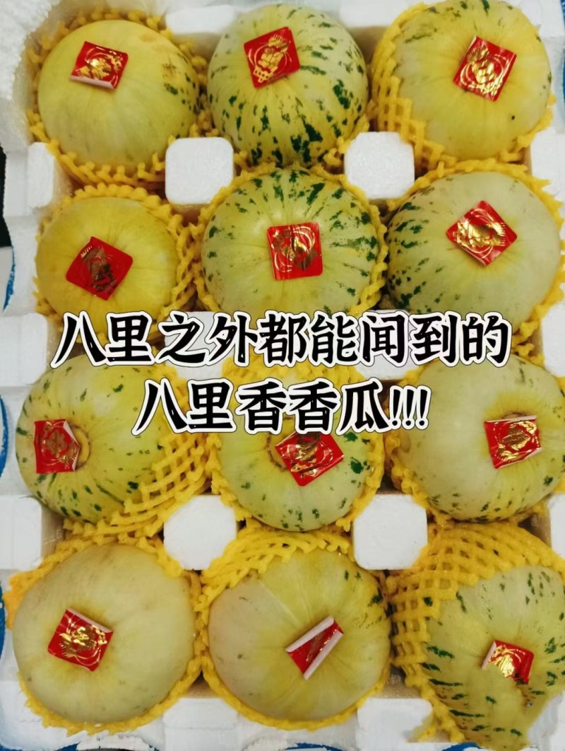 花美人蜜罐甜瓜一件代发产地直发一手货源对接各大电商平台