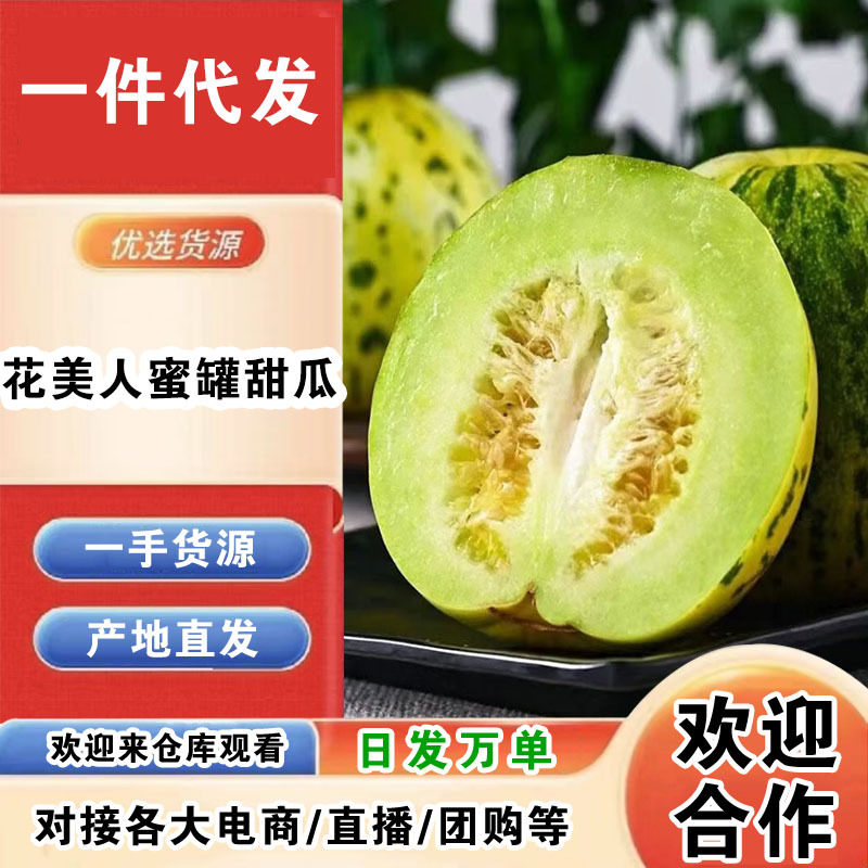 花美人蜜罐甜瓜一件代发产地直发一手货源对接各大电商平台