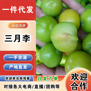 云南三月李一件代发产地直发一手货源对接各大电商平台