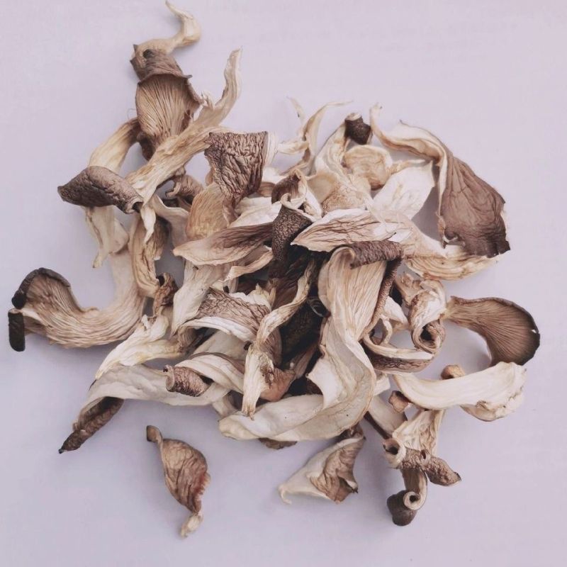 河北干平菇批发干货干蘑菇～干菌菇类白菇干平菇丝量大从优