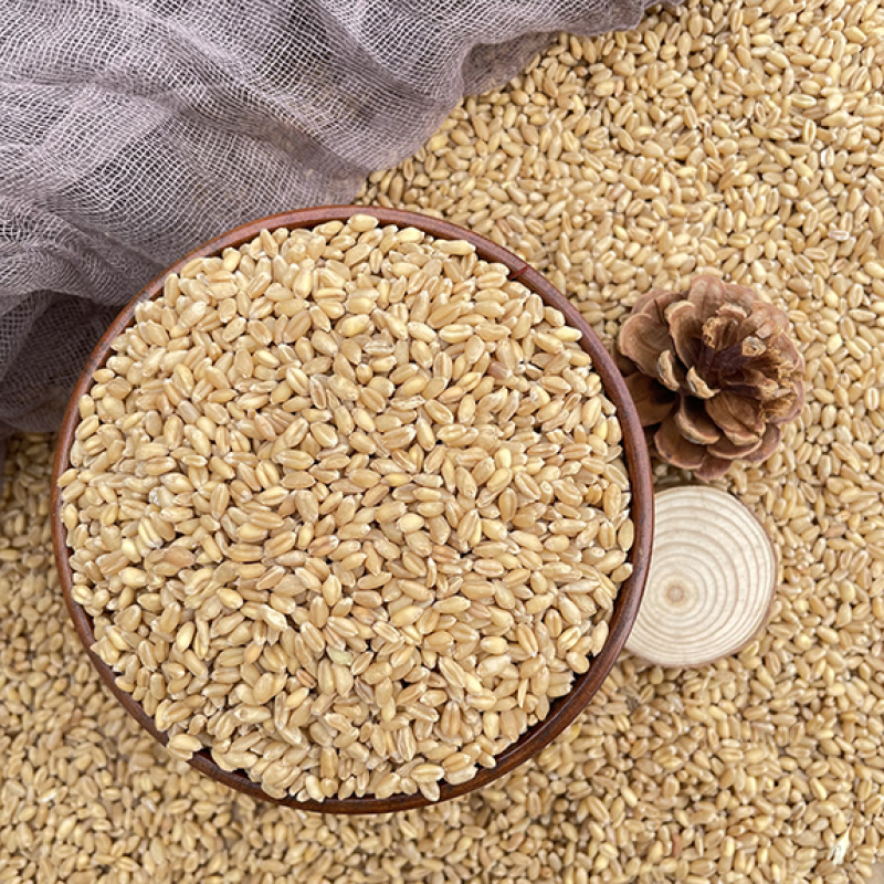 过筛比重小麦干净无杂质酿酒磨面高筋粉