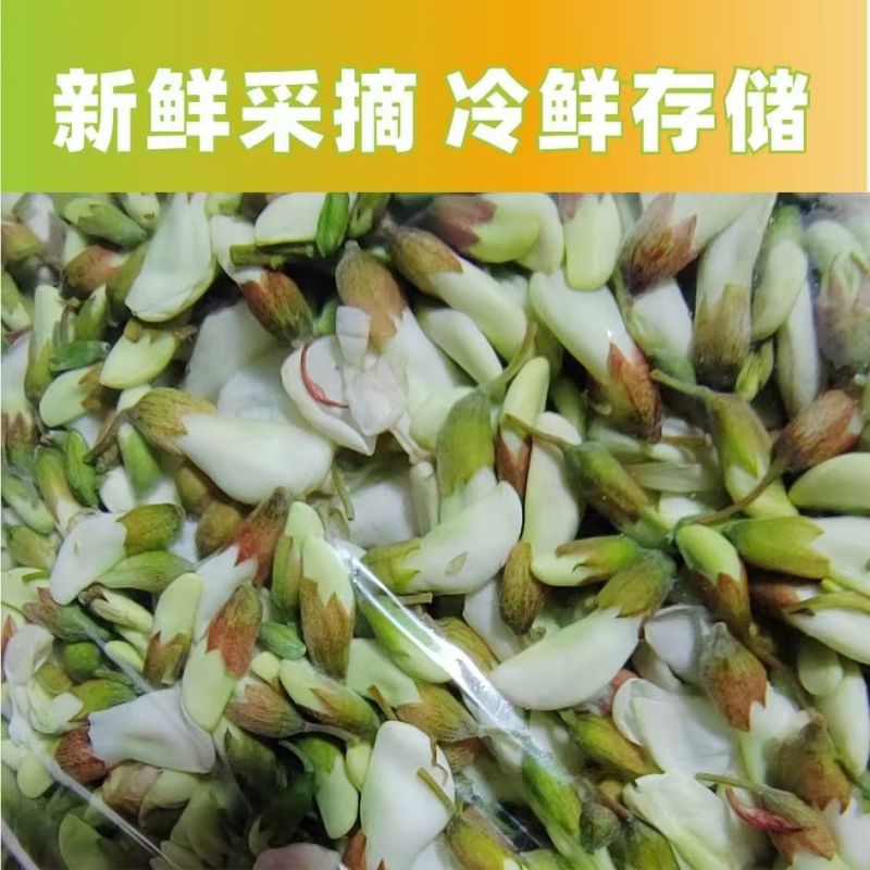 推荐洋槐花河南槐花营养高口感独特河南特产现摘现发欢迎联系