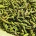 推荐野菜构树花小时候的味道现摘现发价格实惠欢迎联系
