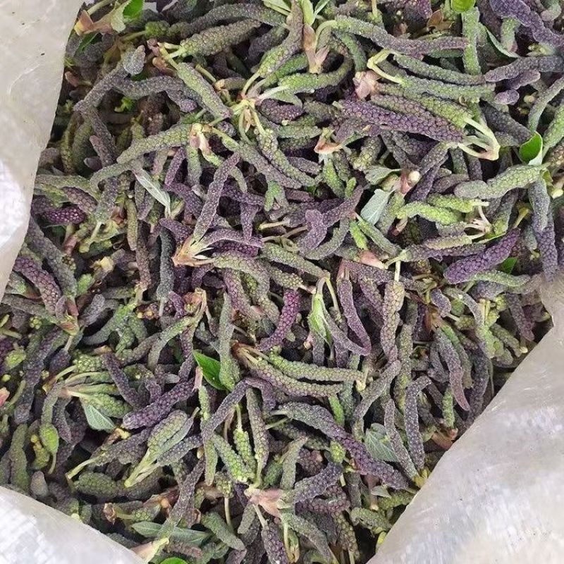 推荐野菜构树花小时候的味道现摘现发价格实惠欢迎联系