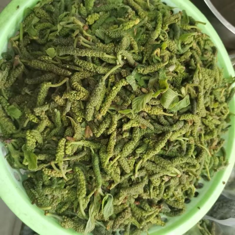 推荐野菜构树花小时候的味道现摘现发价格实惠欢迎联系