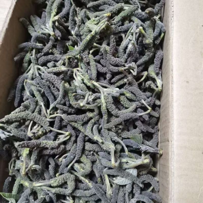 推荐野菜构树花小时候的味道现摘现发价格实惠欢迎联系