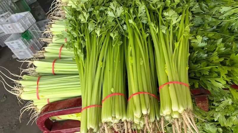 《香芹》莘县小芹菜/小香芹-对接全国电商.超市，耐运输保质量