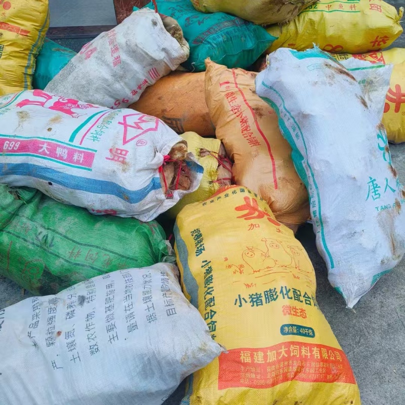 黄泥春笋现挖现发品质保证可视频看货欢迎咨询