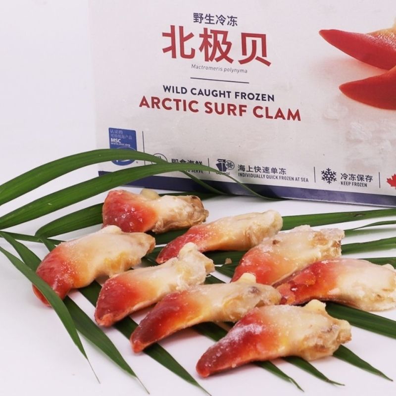 加拿大北极清水北极贝