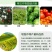 含氨基酸水溶肥料生根壮苗抗逆增产农用叶面肥果树蔬菜