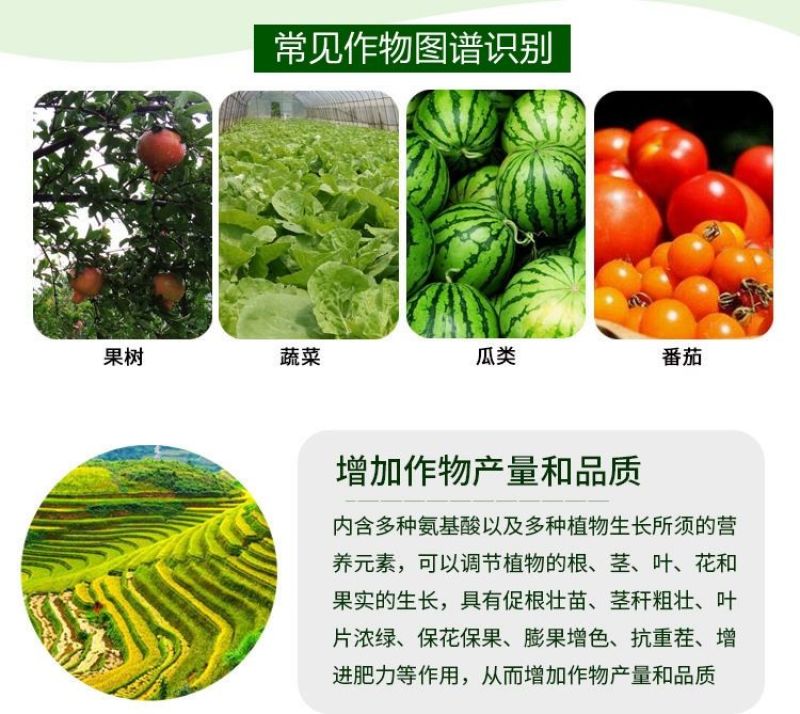 含氨基酸水溶肥料生根壮苗抗逆增产农用叶面肥果树蔬菜
