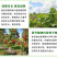 含氨基酸水溶肥料生根壮苗抗逆增产农用叶面肥果树蔬菜