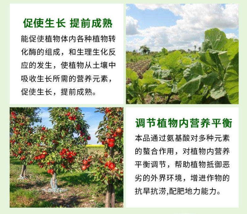 含氨基酸水溶肥料生根壮苗抗逆增产农用叶面肥果树蔬菜