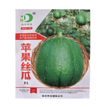 苹果丝瓜种子高产肉质脆爽细嫩不易老化20粒