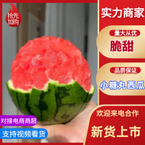 【推荐】小糖丸西瓜口感脆甜皮薄包熟包甜、产地直供