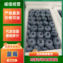 云南蓝莓瑞卡蓝莓一件代发L25-L11-F6抖音代发